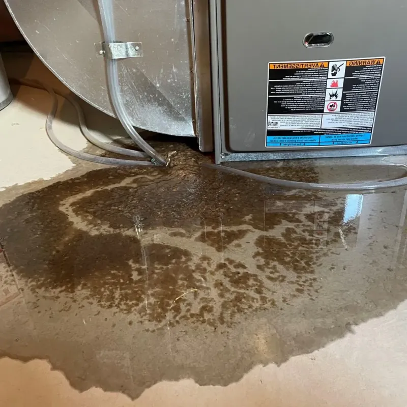 Pipe Burst and Leak Restoration in Lowes Island, VA